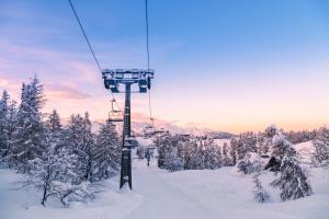 Luxury Wood Megeve village v zime