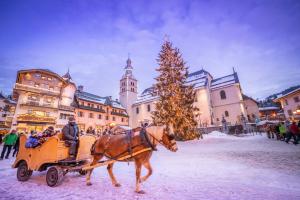 Hostia v ubytovaní Luxury Wood Megeve village