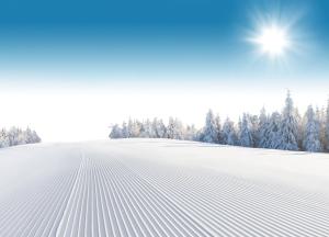 Luxury Wood Megeve village v zime