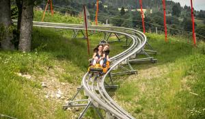 Hostia v ubytovaní Luxury Wood Megeve village