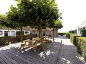 - deux tables de pique-nique sous un arbre sur une terrasse dans l'établissement De Friese Antillen, à Hollum