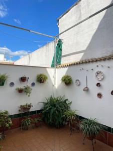 uma parede branca com plantas e um relógio sobre ela em Apartamento El convento em Almodóvar del Río