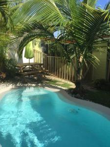 a swimming pool with a palm tree and a table at Le nid d'amour avec sa piscine et jacuzzi chauffés in Saint-Joseph +5 photos