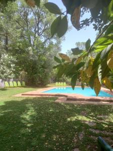 una piscina en un patio con árboles en Finca la Colorá en Fuenteheridos