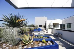 an outdoor patio with cacti and plants on a building at Culver City 2br w gym lounge roof nr 405 LAX-1001 in Los Angeles