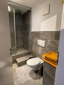 a bathroom with a shower and a toilet and a sink at Ferienwohnung mit Vollaustattung in Waldbronn