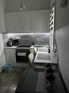 Kuchyň nebo kuchyňský kout v ubytování Dominik apartment + 19 fotografií