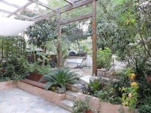 a garden with a pergola and some plants at Stamatina's House in Athens