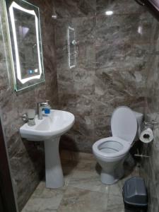 a bathroom with a toilet and a sink at HOTEL AMIRAN in Tusheti