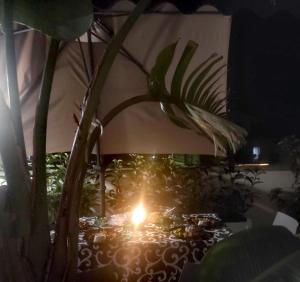 A garden outside B&B DOMUS 65
