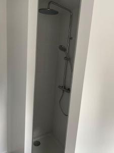 kabinę prysznicową z głowicą prysznicową w łazience w obiekcie Appartement en plein cœur historique de Dinan w mieście Dinan