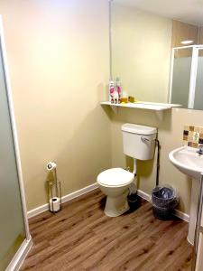 a bathroom with a toilet and a sink at Bells Hotel in Coleford
