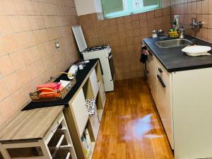 蒙特孔帕特里的住宿－Castelli Romani Montecompatri Apartment，一个带水槽和柜台的小厨房
