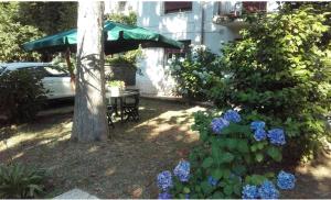 蒙特孔帕特里的住宿－Castelli Romani Montecompatri Apartment，花园,花园内有桌子和一棵树和蓝色的花朵