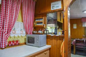 un forno a microonde seduto su un bancone in cucina di Romantic Cottage In Real Nature a Radeče