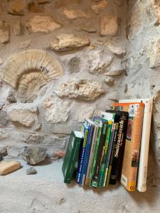 een groep boeken op een stenen muur bij Charming typical stone house with modern amenities in Chauzon
