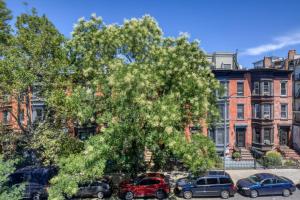 Gallery image of Park Slope 2BR w WD nr Barclays Center NYC-908 in Brooklyn