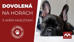 Domácí mazlíčci ubytovaní s hosty v ubytování Interhotel Montana + 37 fotografií