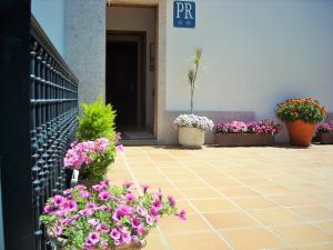 Vonkajšia záhrada v ubytovaní Hostal Santa Marta Playa