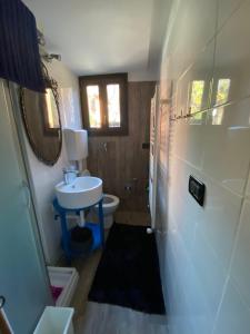 een kleine badkamer met een wastafel en een toilet bij Alloggio Sassi in Turijn