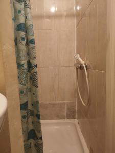 uma casa de banho com um chuveiro e uma banheira em Marahanata Jadwin 1Beautifull 1 Bedroom Flat em Londres