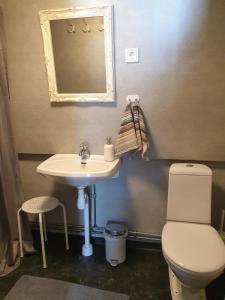 uma casa de banho com um lavatório, um WC e um espelho. em Marsjö Gård Bo & Yoga vandrarhem em Borgholm
