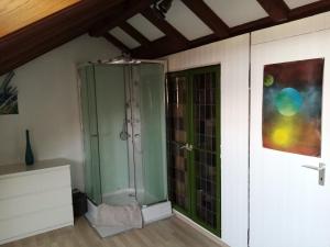 W łazience znajduje się prysznic ze szklanymi drzwiami. w obiekcie Casa Libra w mieście Düsseldorf