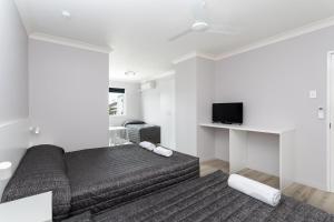 a living room with a bed and a tv at Burleigh Gold Coast Motel in Gold Coast