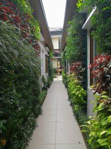 una pasarela que conduce a un edificio con plantas. en Adria Residences - Emerald Garden - 2 Bedroom Unit for 4 person, en Manila