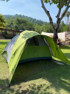 a green tent sitting on the grass next to a tree at The Triple M Mountain Resort in Ban Muang Ton Mamuang
