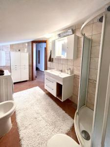 a bathroom with a sink and a shower and a mirror at Apartment Lady Daniela mit Meerblick in Lovran in Lovran