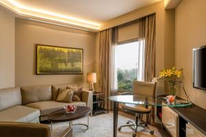 TV a/nebo společenská místnost v ubytování Hyatt Regency Delhi