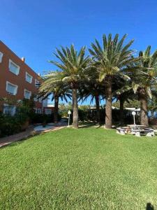 A garden outside Directo a la playa con vistas del mar