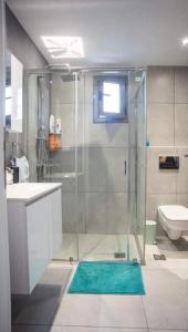 y baño con ducha, lavabo y aseo. en RENT A HOME DANA, en Porto Rafti
