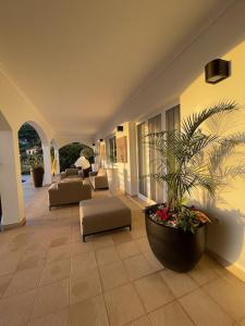 a lobby with a large potted plant on the floor at Luxury villa with private heated pool, garden and views of the sea and mountains. in Arco da Calheta