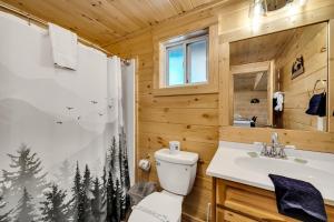 a bathroom with a toilet and a sink and a shower at Whispering Winds in Gatlinburg