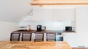 Kuchyňa alebo kuchynka v ubytovaní Apartmány Habánská, celý dům
