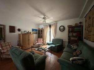 a living room with green furniture and a ceiling fan at Casa la chimenea de Chinchón in Chinchón