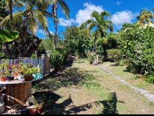 a garden with palm trees and a fence at Le Biabiany in Bouillante