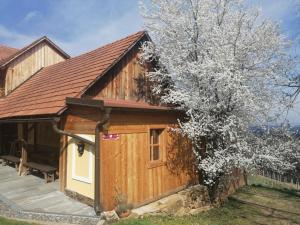 a wooden cabin with a tree in front of it at Winzerei Schober in Grubberg