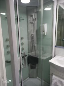 a bathroom with a glass shower and a sink at VuT Dalia in Ávila