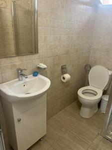 a bathroom with a sink and a toilet at Pensiunea Oșencuța in Talmesch