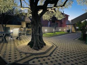 a tree in a courtyard with a table and chairs at Design Apartments Dijan in Sukošan