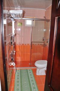 uma pequena casa de banho com WC e chuveiro em Sarbon Plaza Hotel em Bukhara
