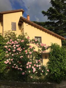 une maison avec des roses roses devant elle dans l'établissement B&B La Casa della Nonna, à Viterbe