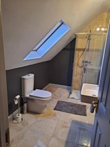 a bathroom with a toilet and a shower and a skylight at Stunning 2-Bed Apartment in Kildare +20 photos