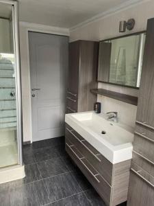 a bathroom with a white sink and a mirror at L'Hirondeau de Tenneville in Tenneville