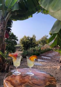 dois cocktails sentados numa mesa em frente a uma árvore em Afrikan Krisant Tenerife, Casa Rural Ecologica em Arafo