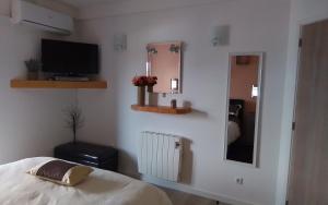 a bedroom with a bed and a tv and a mirror at Mountain View in Alvor