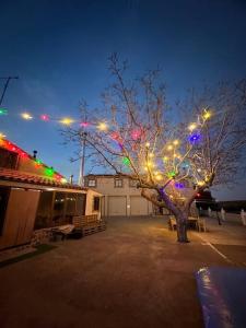 a tree decorated with christmas lights in a parking lot at Villa rural de campo aldea Las Zorizas in Munera